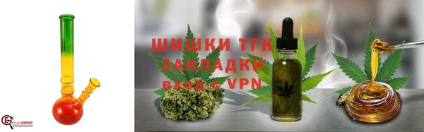 дмт Алзамай