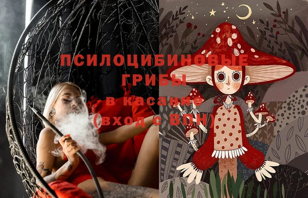 ГАЛЛЮЦИНОГЕННЫЕ ГРИБЫ Алексин
