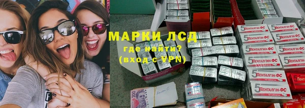 дмт Алзамай