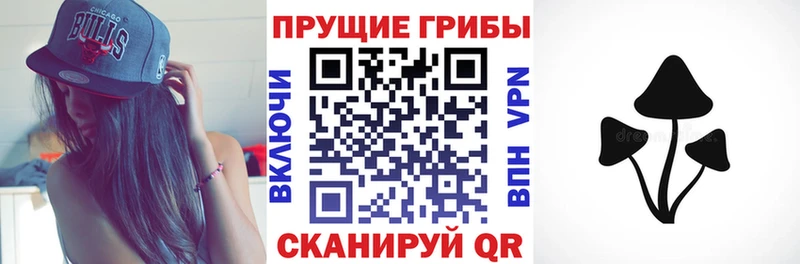 Галлюциногенные грибы MAGIC MUSHROOMS  магазин    Хадыженск 